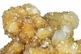 Sparkling Cactus Quartz Crystal Cluster - South Africa #303477-2